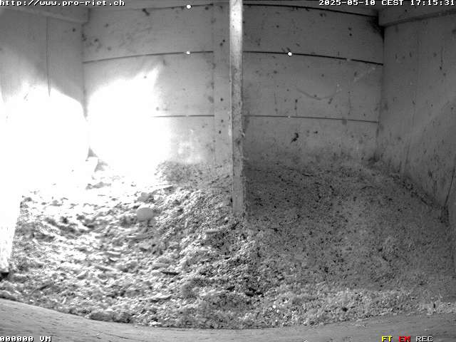 Camera Live Image