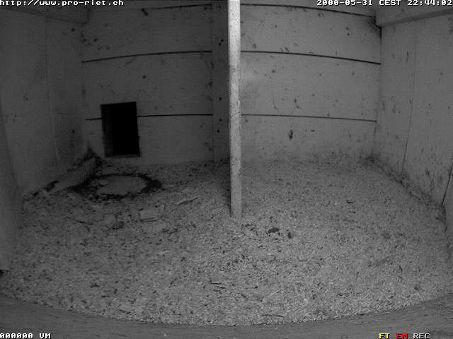 Camera Live Image